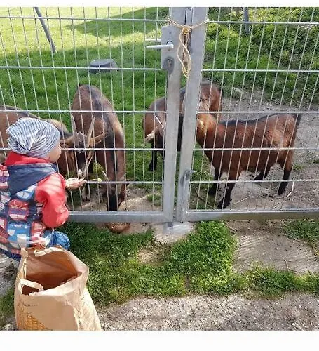 Ferien-/monteurwohnung Im Odw.