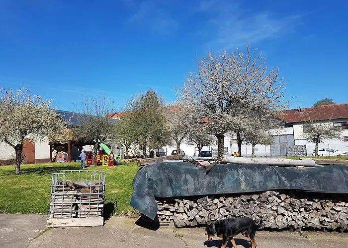 Ferien-/monteurwohnung Im Odw. Διαμέρισμα Mörlenbach